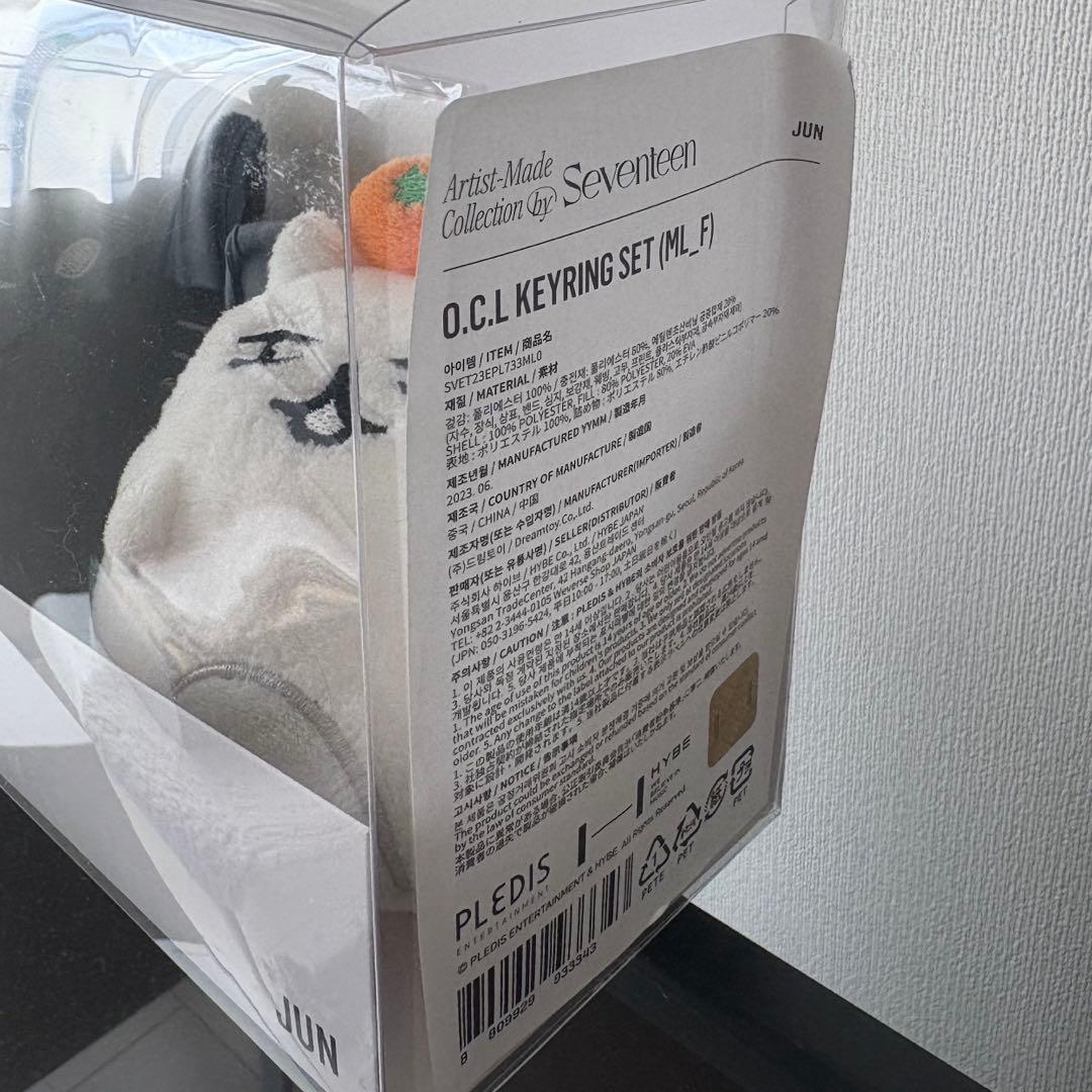 SEVENTEEN JUN アーティストメイド