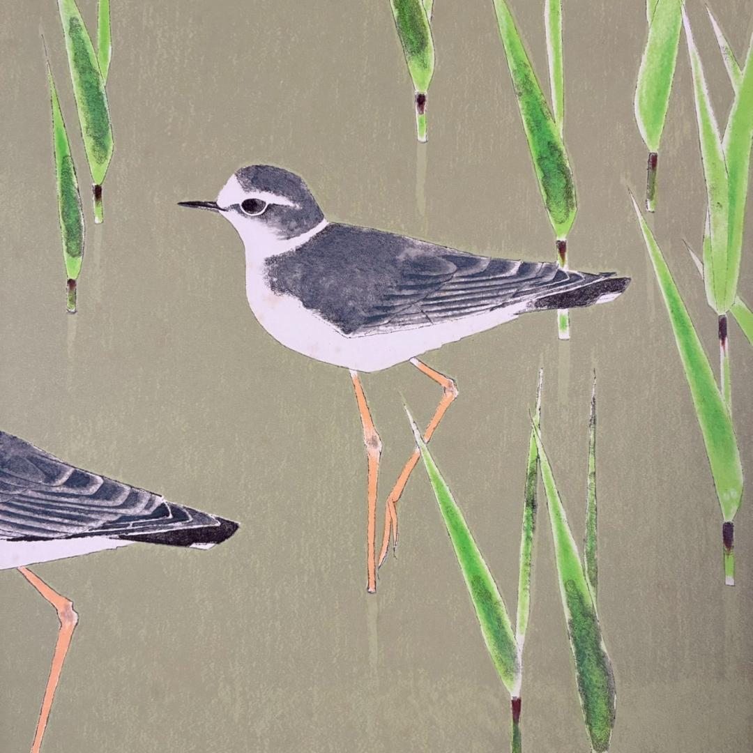 上村淳之「春汀」リトグラフ 直筆サイン・印章・発行証有 古径額 上村松園 花鳥