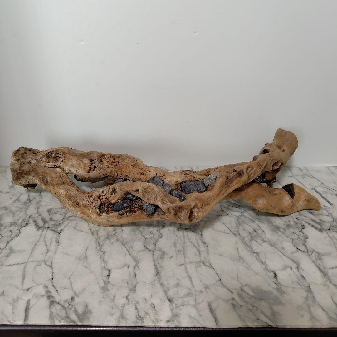 アク抜き済み流木【858】セール