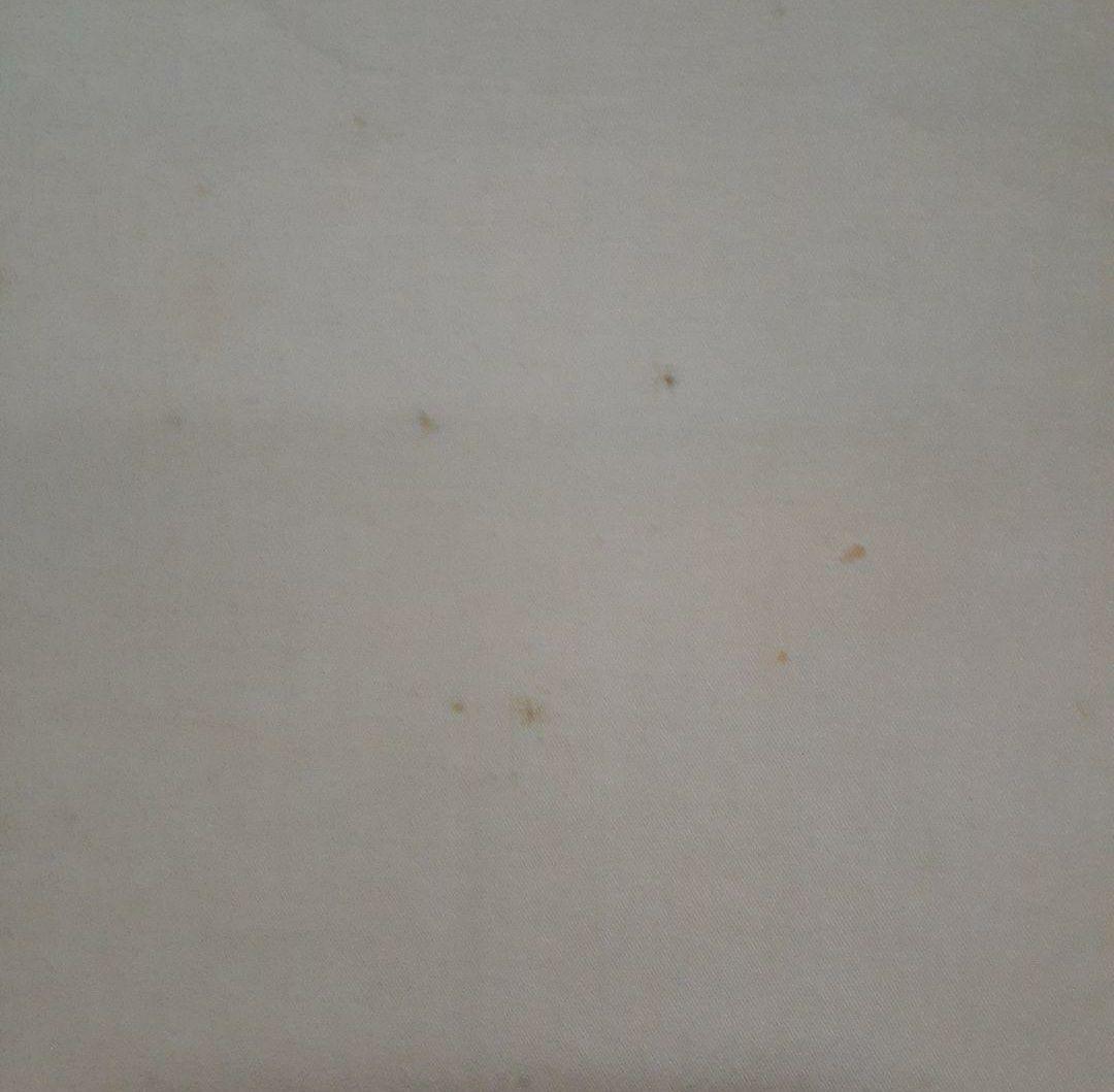 掛け軸/宮本武蔵図