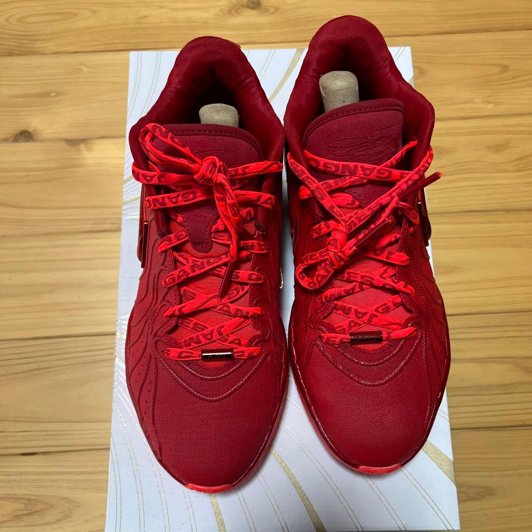 nike lebron 21 james gang ナイキ　レブロン ジェームズ