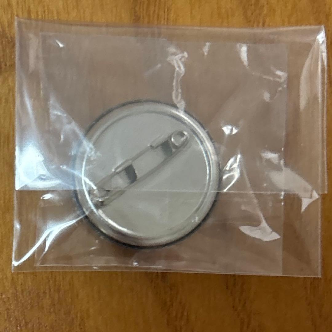 リボーン ジャンプ 50周年 缶バッジ 沢田 綱吉 特典 グッズセット 沢田綱吉