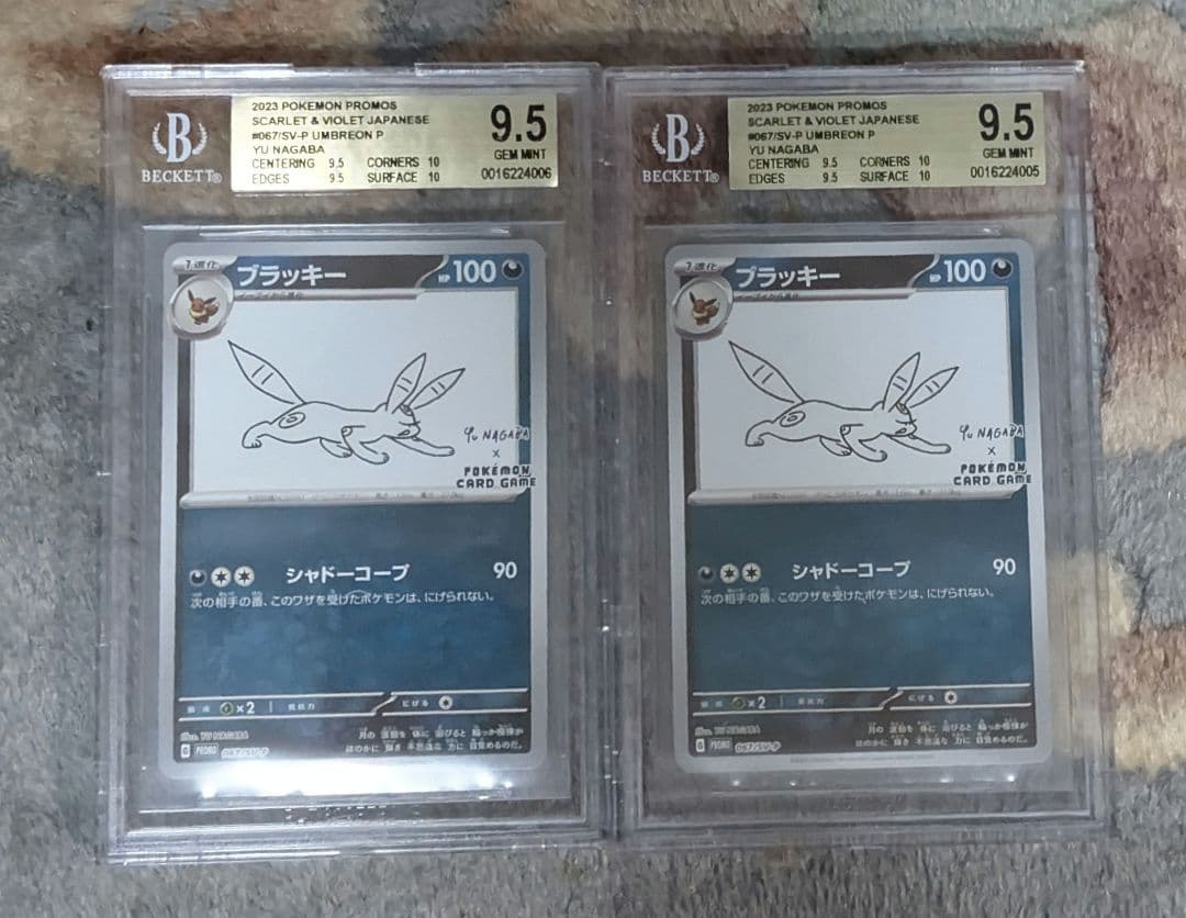 ポケモン ブラッキー 長場 25th プロモカード BGS金 ＝ PSA10