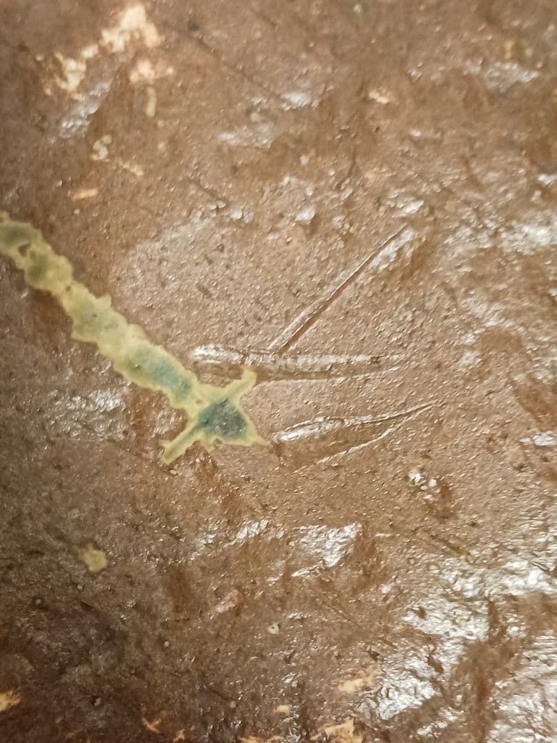 織部焼　丸皿　佐藤和次　27cm　老舗料亭