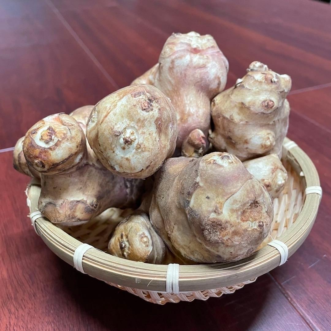 山形県産　菊芋チップス 1.2kg(120g×10袋) 山菜　野菜　乾燥野菜