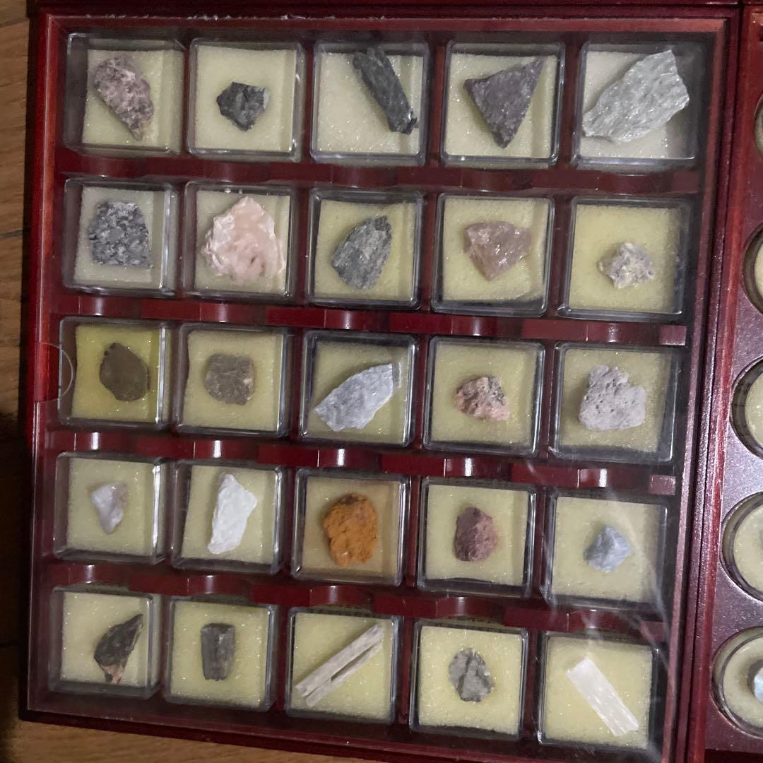 石の標本　150個セット