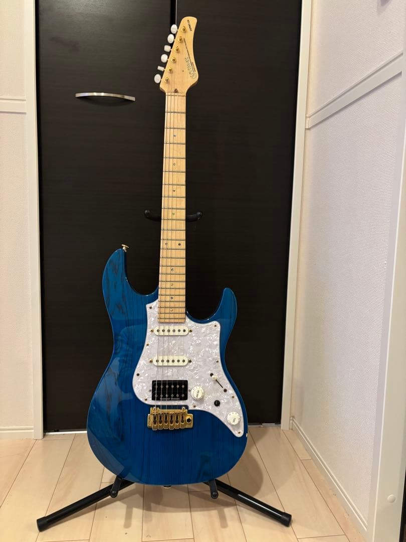 ギター Fujigen EXPERT OS