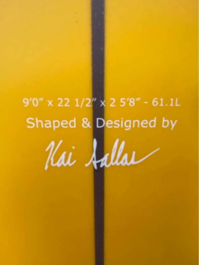 カイサラスマンゴージャムKAI SALLAS × MANGO JAM 9`0