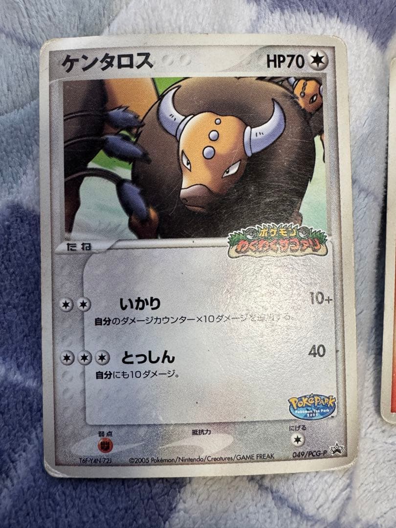 ポケパーク　プロモカード6枚セット