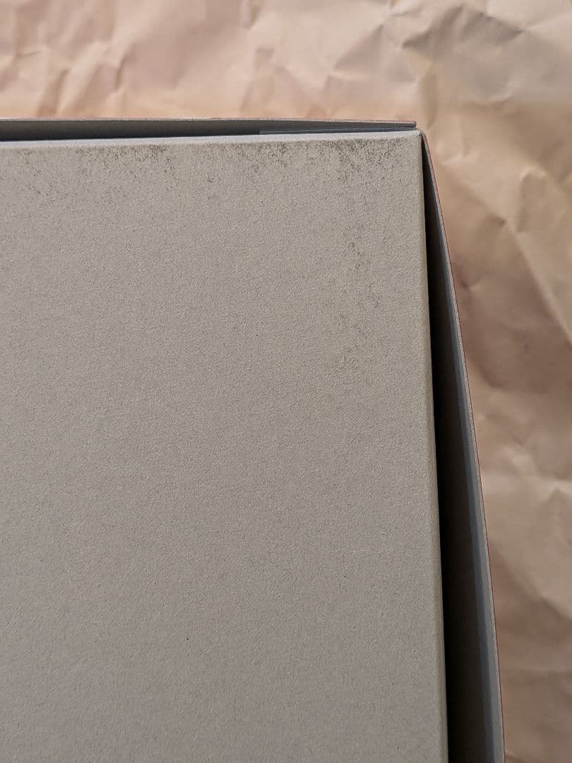 MG 1/100 MS-14B ジョニー・ライデン専用ゲルググ プレバン 限定