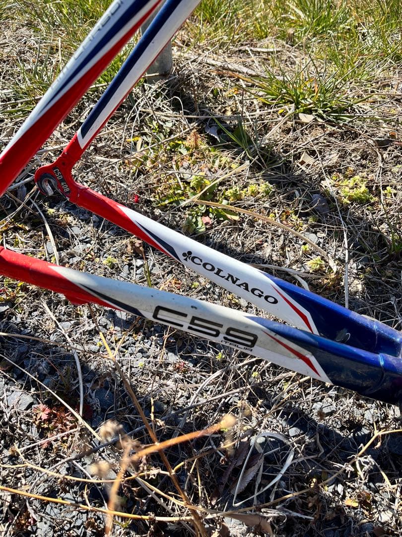 COLNAGO C59 ロードバイクフレーム 50サイズ 訳あり