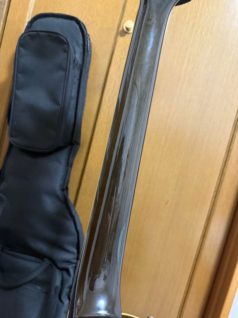 ひ*け様 レスポール シースルーブラック 虎目