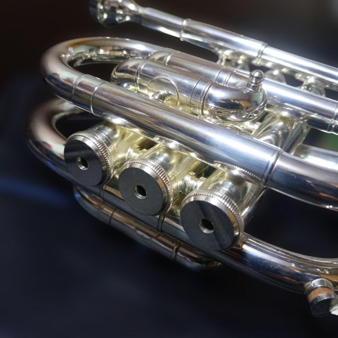 BRIILER ブリエル ポケットトランペットS 本体 専用ケースアルミミュート