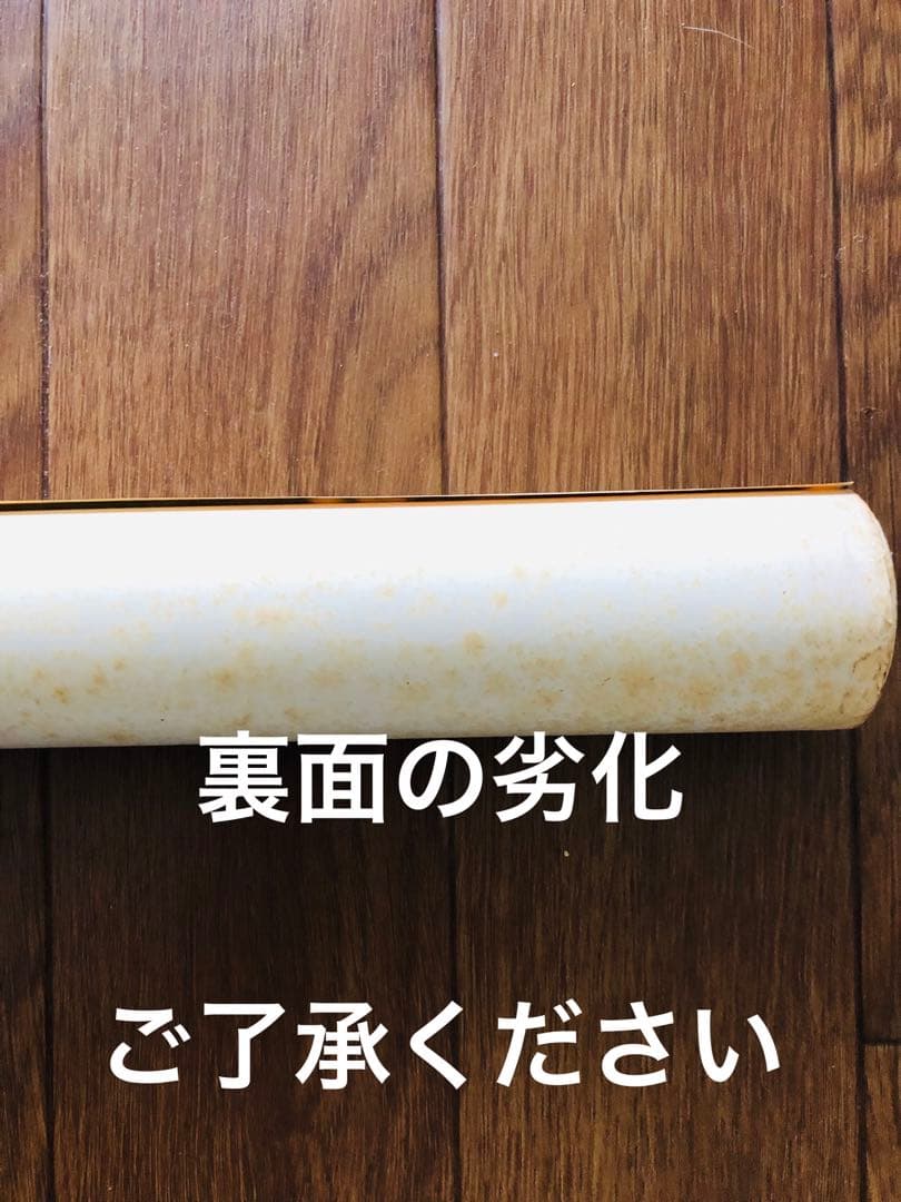 ハワイの美女モデル・アグネス・ラム大判ポスター by SHIN IKEDA ！