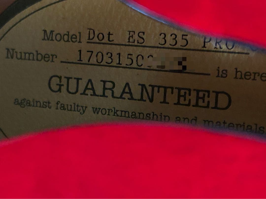 Epiphone ES-335 PROカスタムショプ