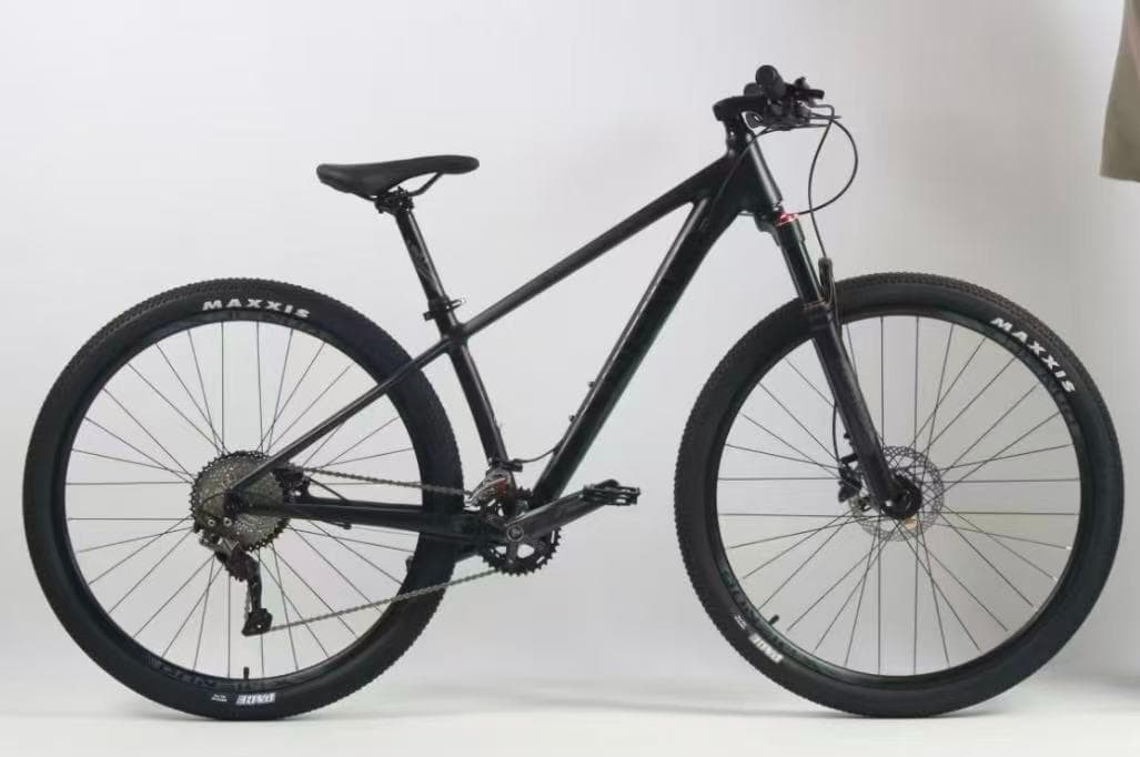 MTB（XC）油圧ディスク2×11速shimano（手渡し限定）29インチ