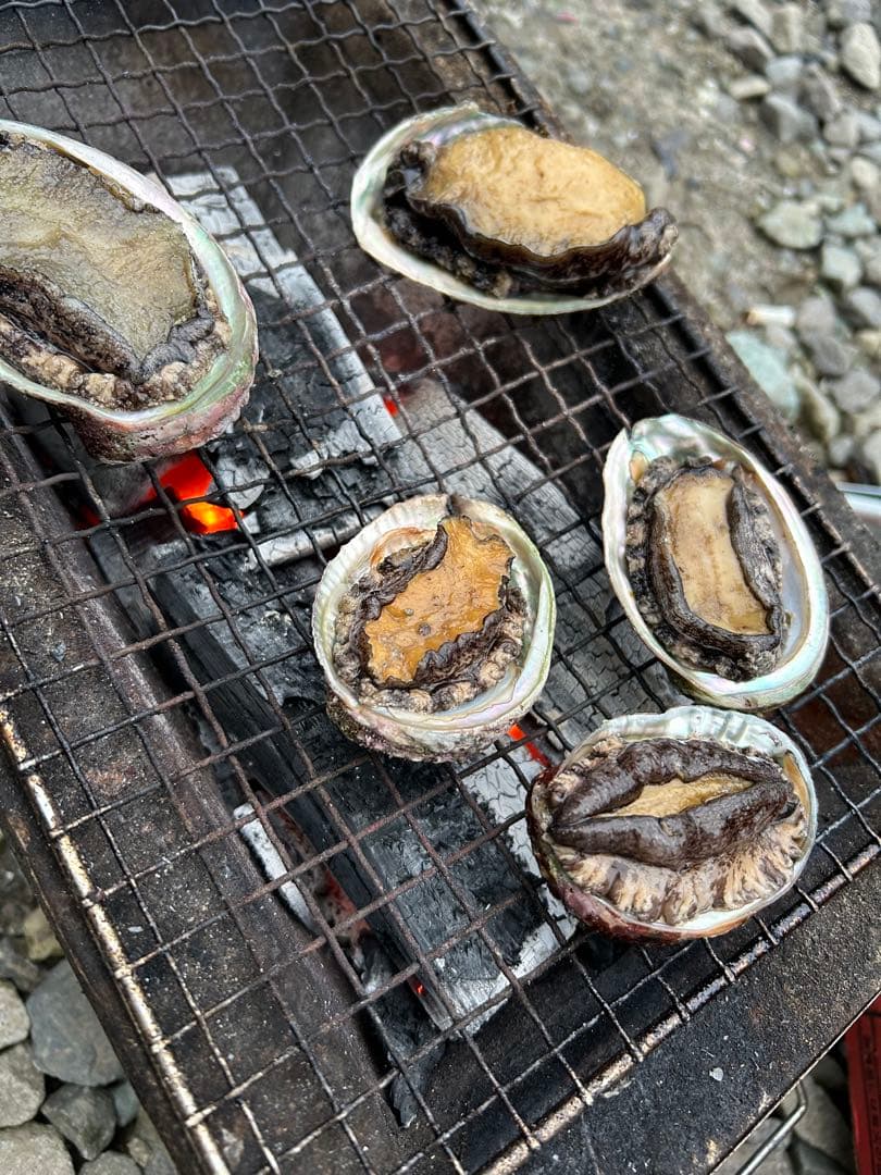 新物エゾアワビ中サイズ‼️1キロ入り‼️冷凍