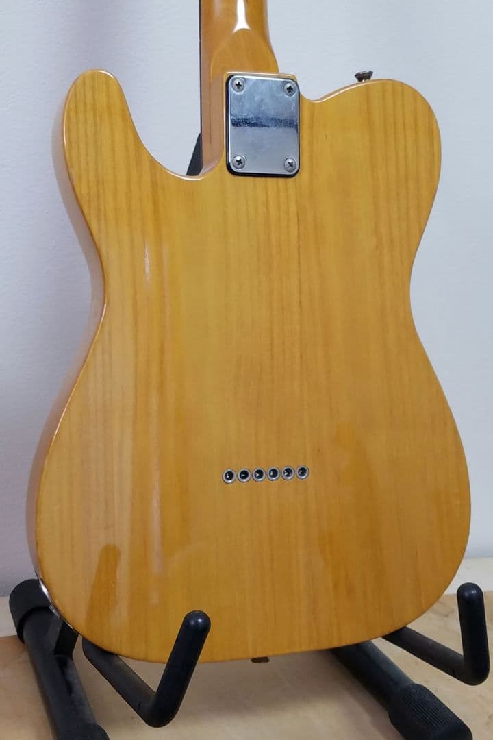 Brian by Bacchus テレキャスターカスタムタイプ エレキギター