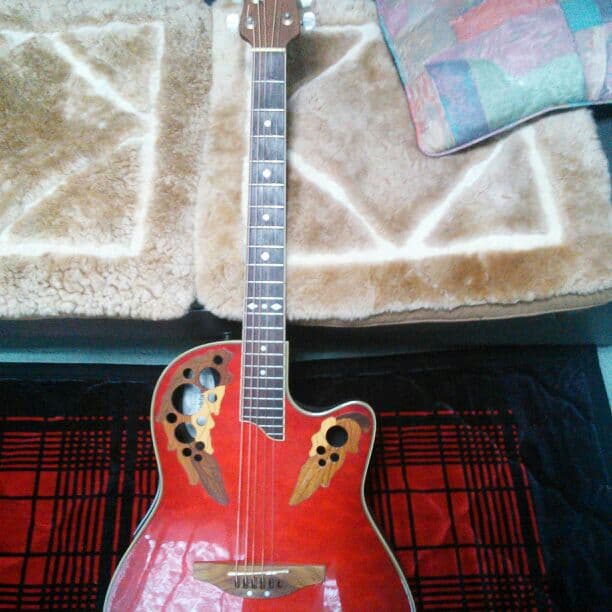 ギター ovation guitar