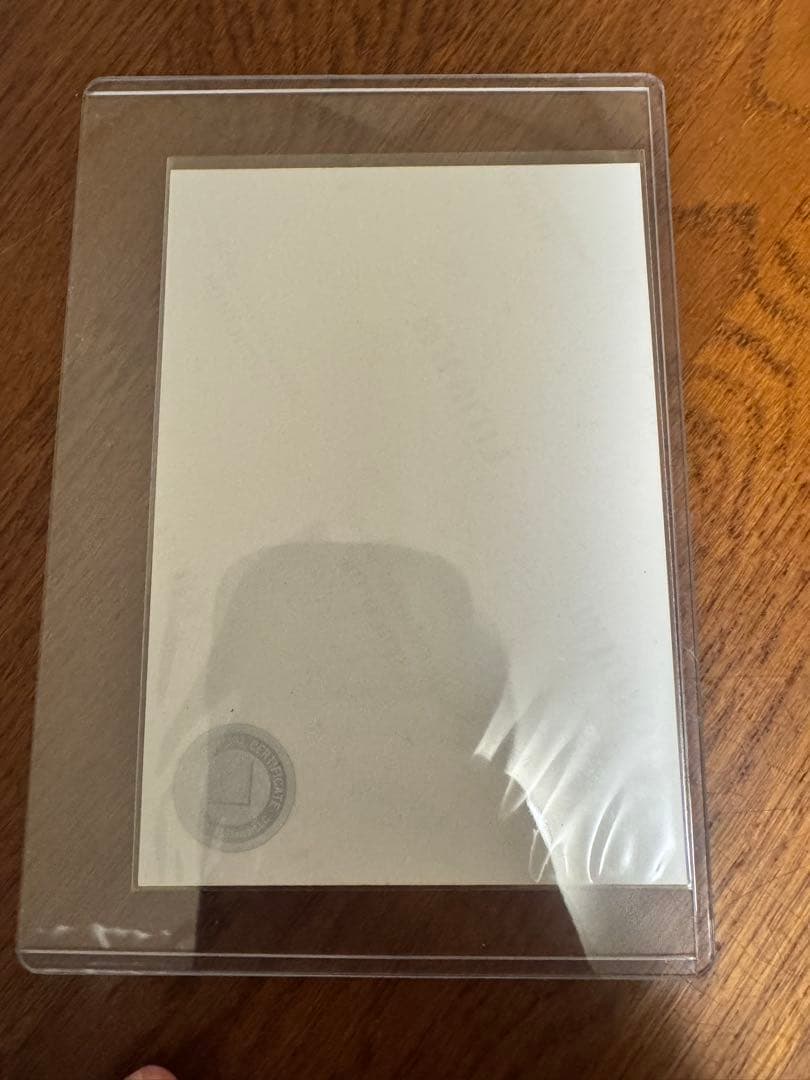 的野美青　サイン付き生写真　サンタ衣装