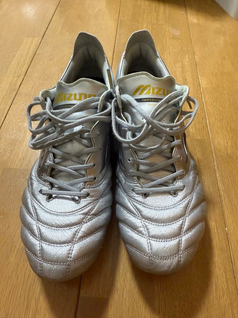 レア 限定カラー モレリアネオ4 【26.5cm】