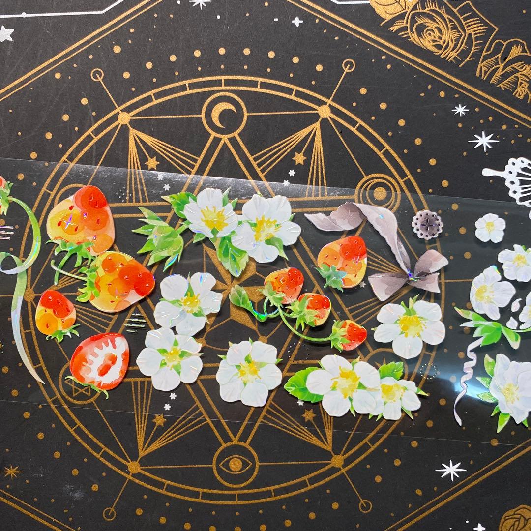 【9199】海外　マステ　中古巻　貝殻光マスキングテープ　苺　果物　お花　装飾系