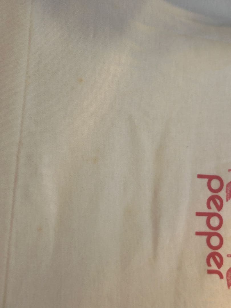 【激レア】ピンクレディー　ロング　Ｔシャツ　　昭和レトロ ビンテージ