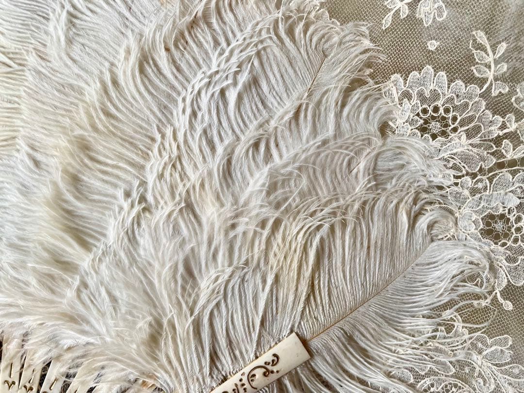 ホワイトフェザーのファン　エヴァンタイユ　フランスアンティーク　扇子　羽根