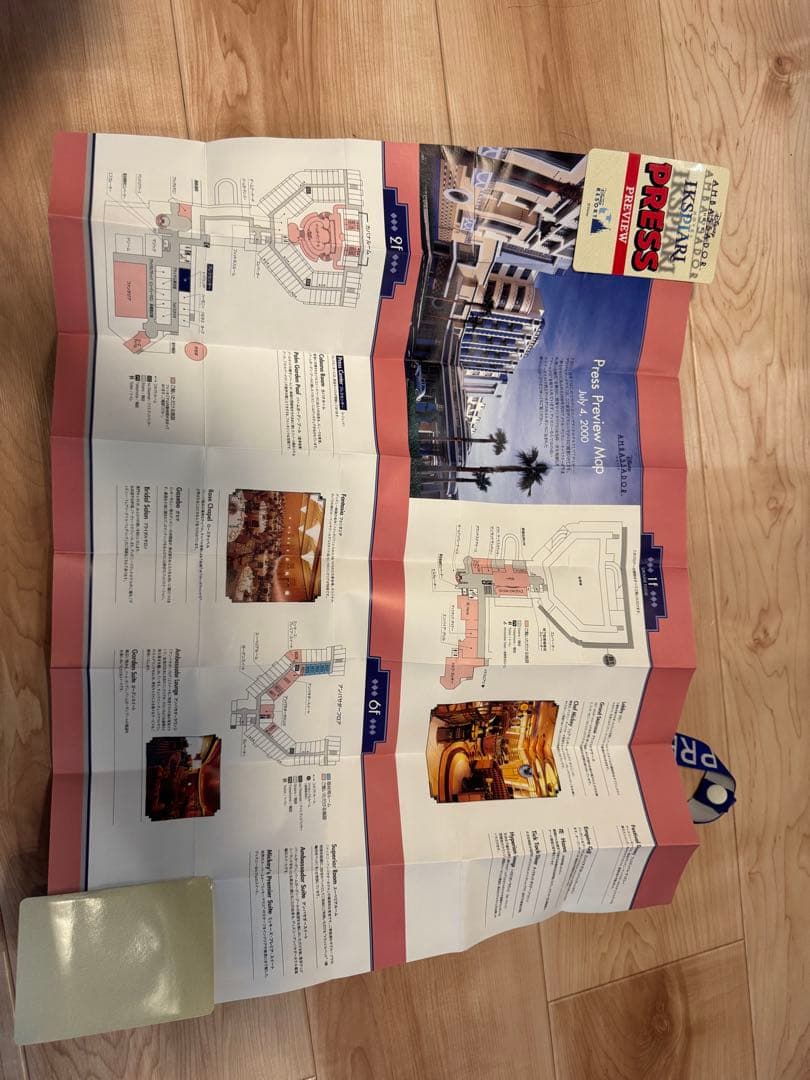 【激レア】ディズニーリゾート イクスピアリ開業 報道関係者専用　ネックストラップ