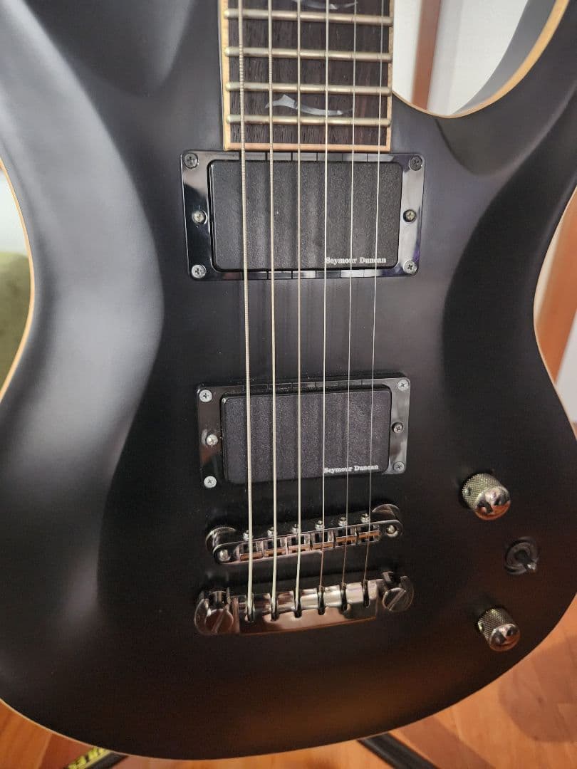 フジゲン Fujigen Expert Elan