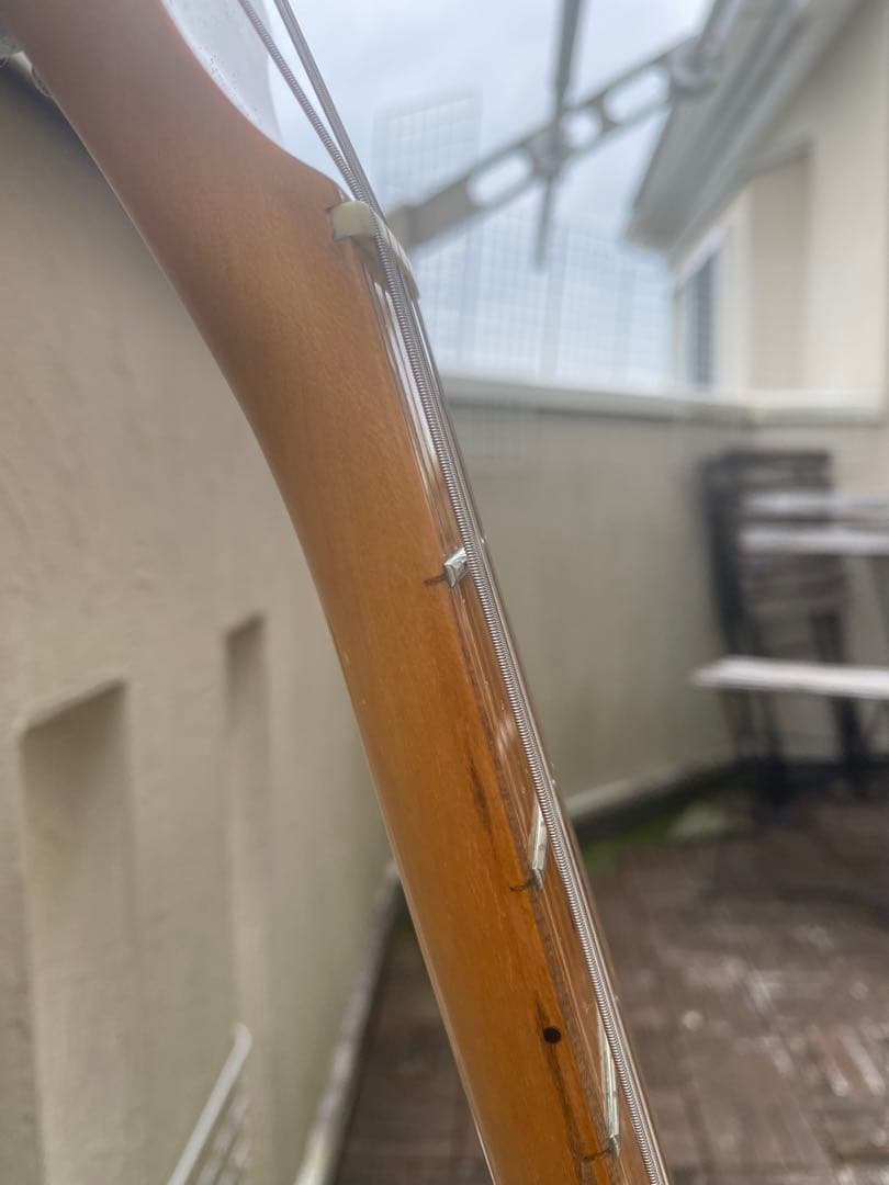 Aria proII(ストラトキャスター タイプ/コンポーネント)