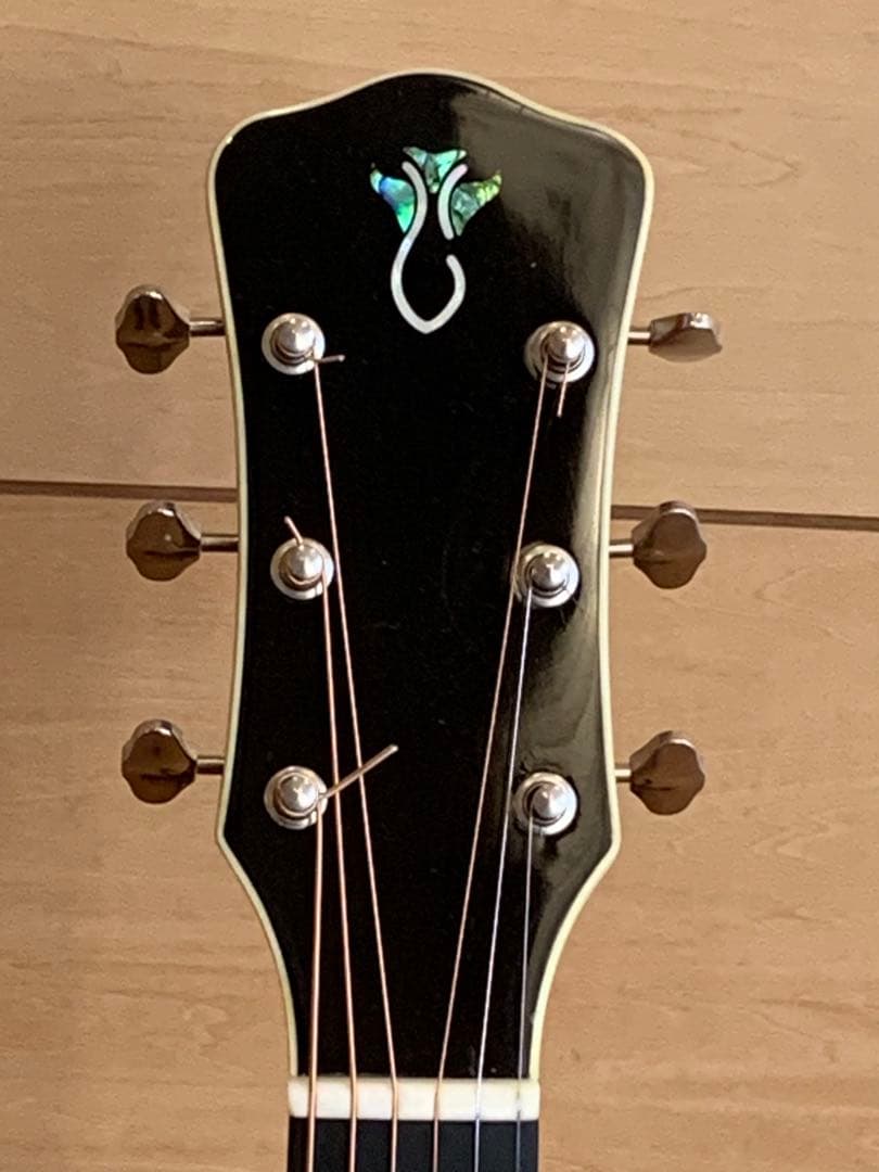 Gary E. Levinson LS-43 アコースティックギター