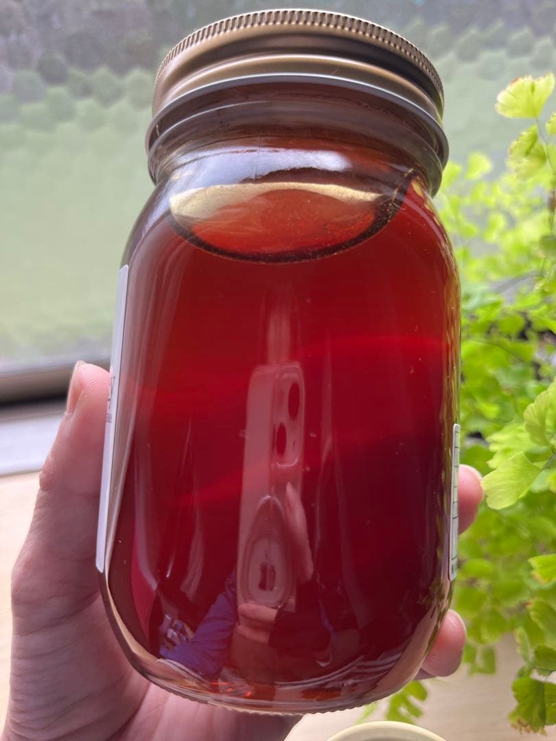 【徳島県産】日本蜜蜂のはちみつ味くらべSET （600g×2本）