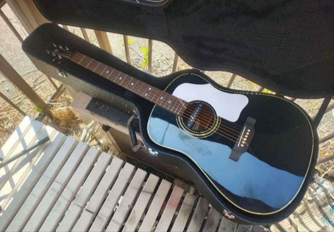 超美品 展示品 Epiphone PR-350B Wピックアップエレアコ