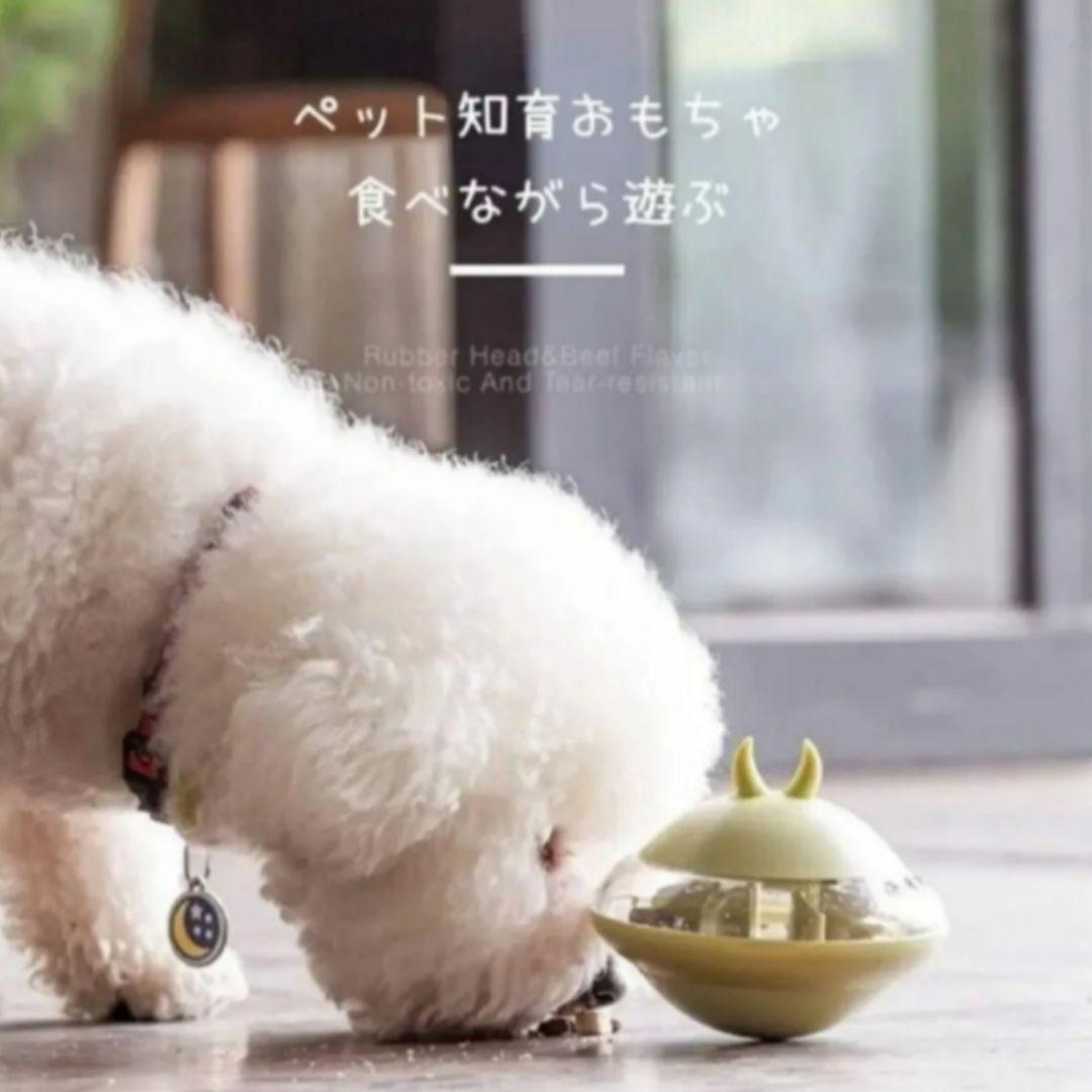 フードボウル✨2個セット　グリーン　早食い防止　留守番対策　ペット　犬　新品