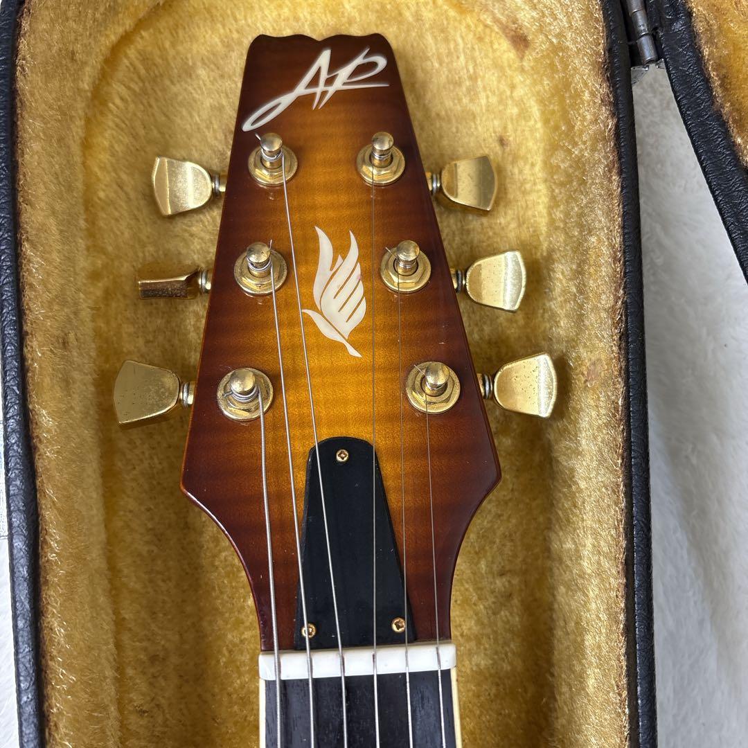 【訳アリ】　アリアプロ2 PE-MID-1