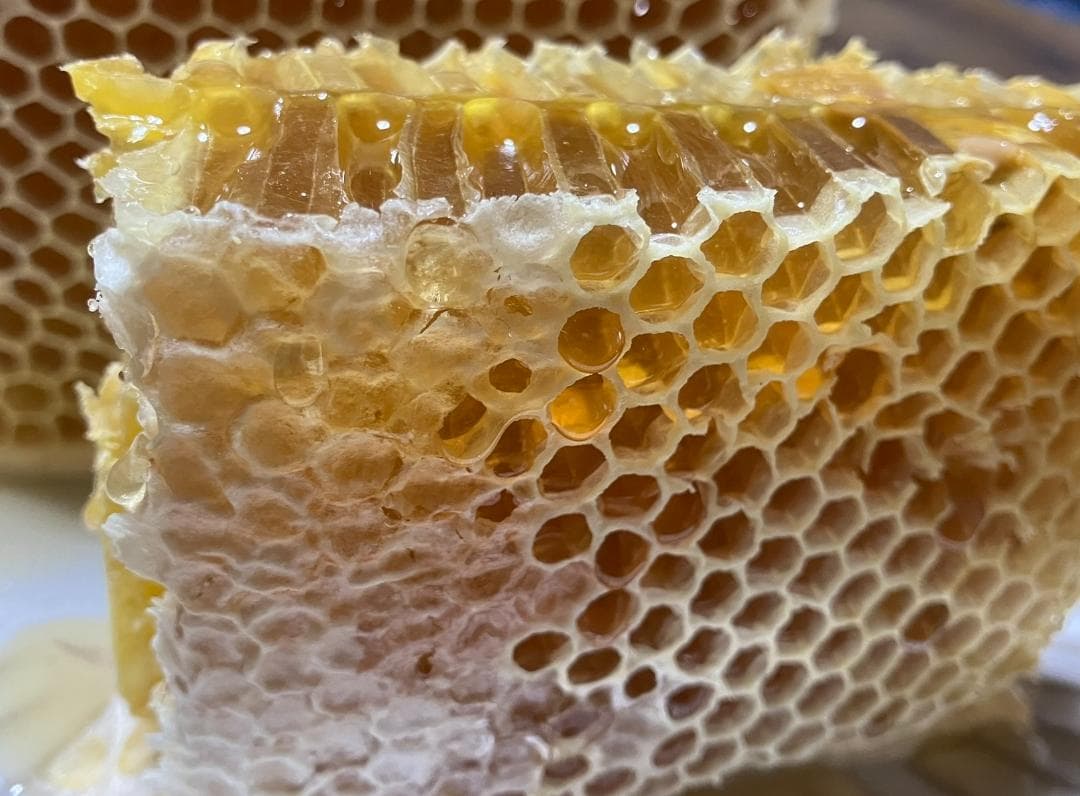 百花蜜 1000g 2本 長野県産 国産蜂蜜 生はちみつ セイヨウミツバチ a