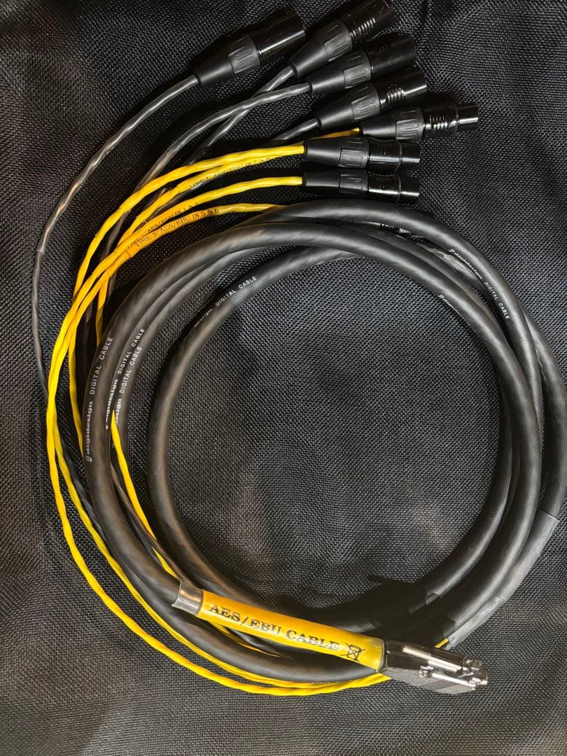 配信機器・PA機器・レコーディング機器 Digidesign (AVID) AES/EBU DigiSnake 12'