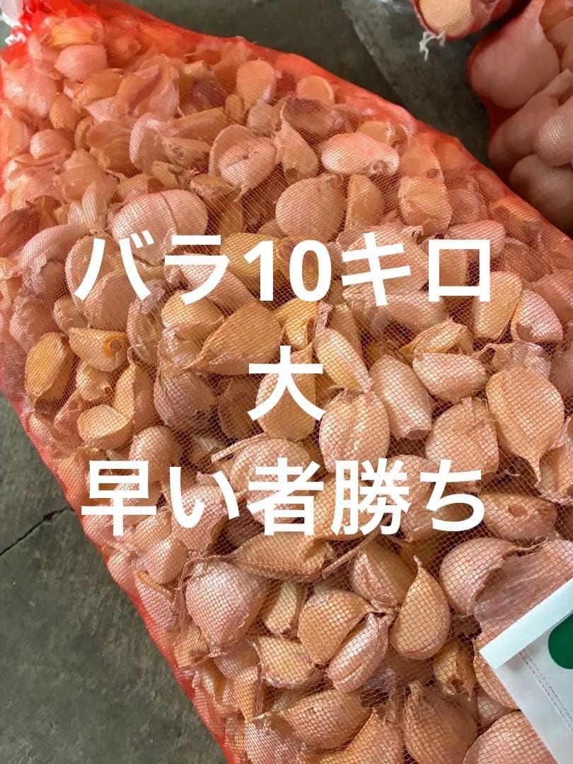 新物　青森県バラにんにく10Kg 大