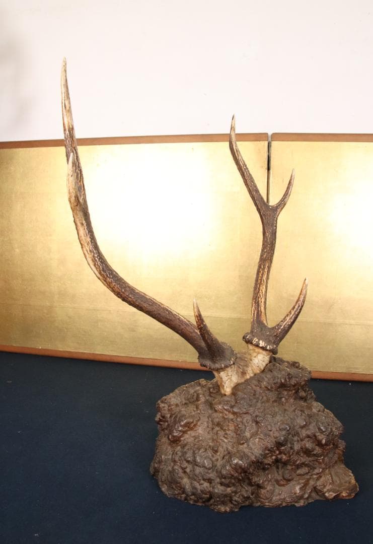 KS　刀掛け　鹿角 刀掛台 天然瘤木台座 　幅約45㎝ 高さ約60㎝