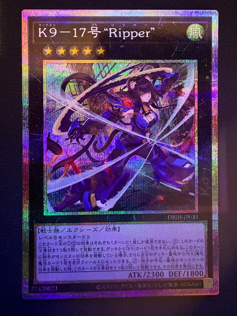 K9-17号　″Ripper” & K9-EX　″Ripper/M” プリシク