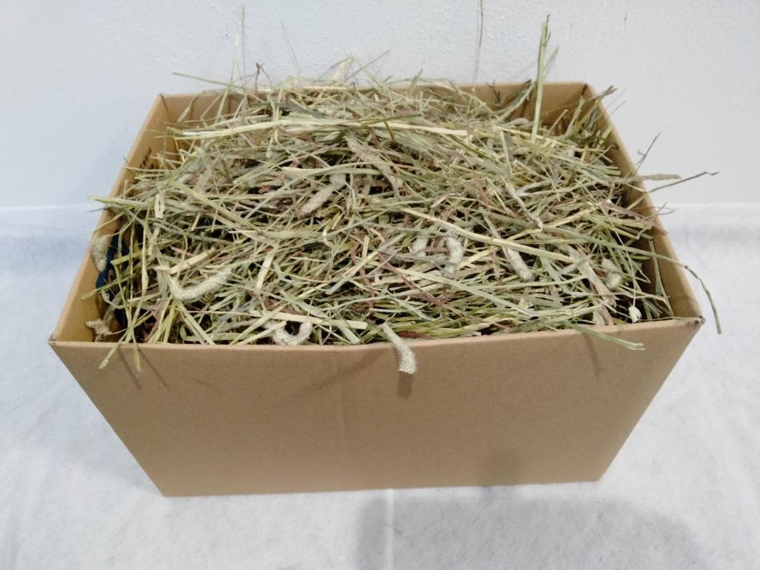 【3/16まで】 カナダ産 チモシー 50kg スーパープレミアム １番刈