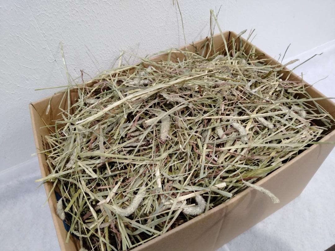 【3/16まで】 カナダ産 チモシー 50kg スーパープレミアム １番刈