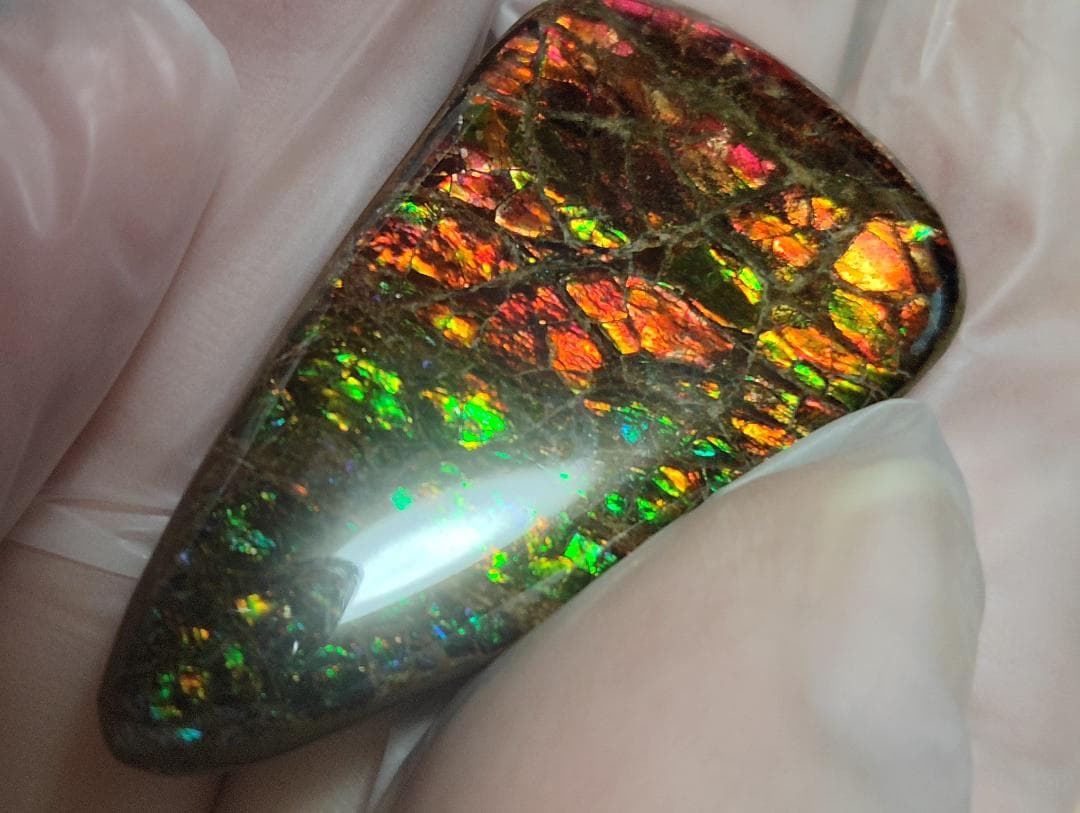 アンモライト・ルース　24-1411 45000