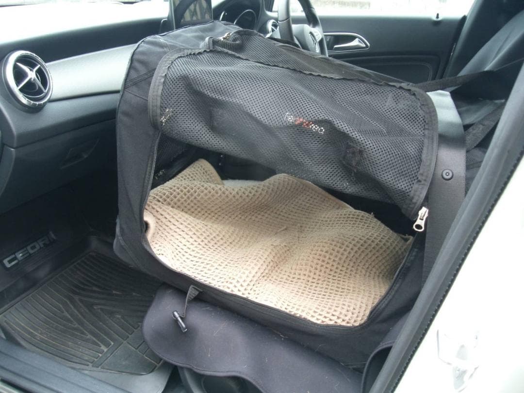 通気性 重視 折りたたみ可能 ペットキャリー