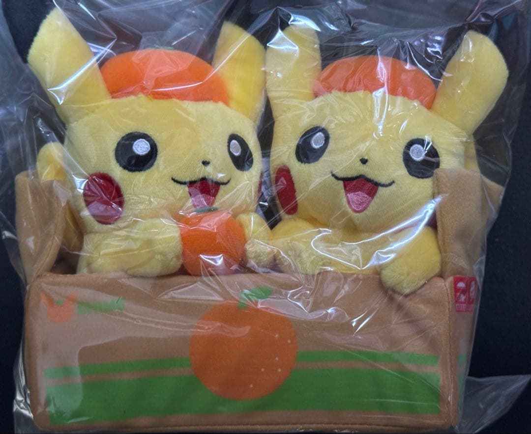 ポケモンセンター ピカチュウ ぬいぐるみ 愛媛限定 みかん ペアピカチュウ