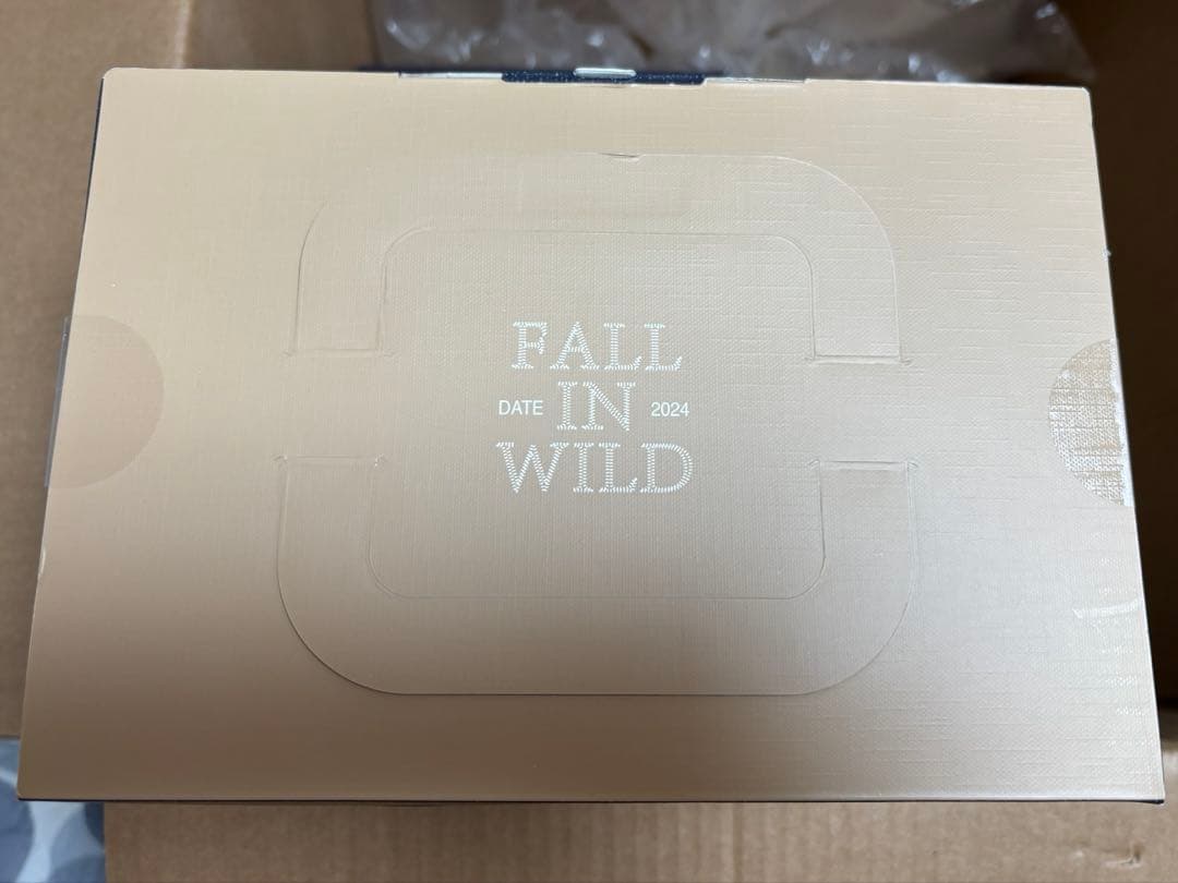 POPMART LABUBU FALL IN WILD ぬいぐるみ 2点セット