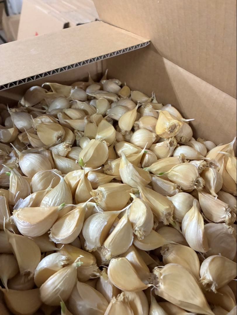 【激安】青森県産にんにく MIXバラ20kg福地ホワイト　お買い得