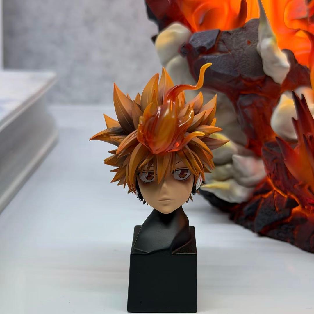 家庭教師ヒットマンREBORN! 沢田綱吉 ①① ガレージキット ガレキ スタチ