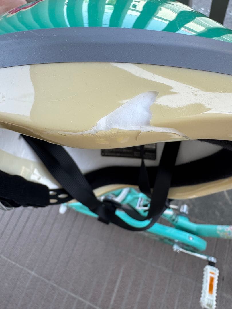 子供用自転車 グリーン エコパル　ヘルメット付き